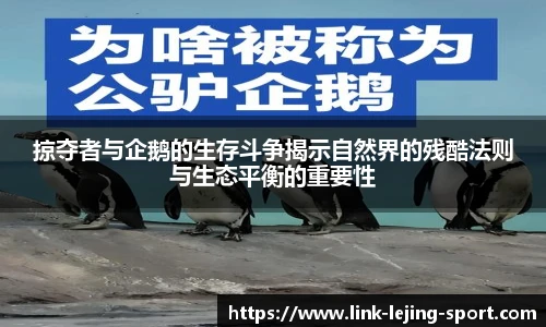 乐竞体育平台